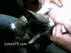 A plump female allows her cat to nibble on her large, chubby tits.